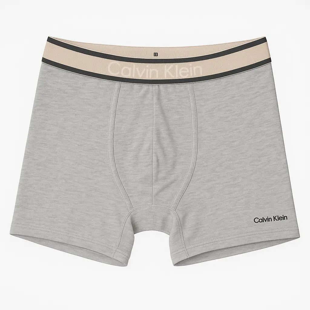 Boxers Calvin Klein Bande Beige - Lot de 5